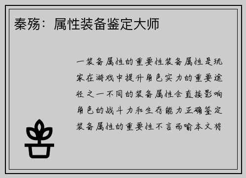 秦殇：属性装备鉴定大师